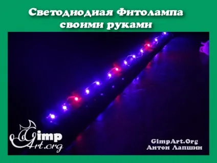 Світлодіодна фітолампи своїми руками для розсади (своїми) Світлодіодна фітолампи своїми руками для розсади