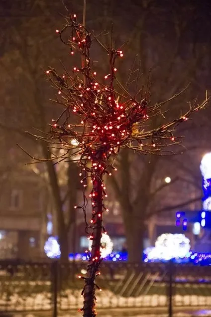 Сяючі світлодіодні дерева фото ідеї, відео своїми руками (своїми руками) Сяючі світлодіодні дерева фото ідеї, відео своїми руками
