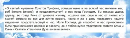 Святий Трифон - молитва Святого Трифона про кохання і заміжжя (святий) Святий Трифон - молитва Святого Трифона про кохання і заміжжя