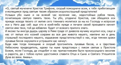 Святий Трифон - молитва Святого Трифона про кохання і заміжжя (святий) Святий Трифон - молитва Святого Трифона про кохання і заміжжя