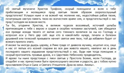 Святий Трифон - молитва Святого Трифона про кохання і заміжжя (святому) Святий Трифон - молитва Святого Трифона про кохання і заміжжя