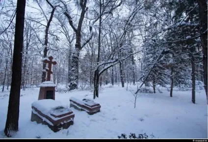 Таємниця паркових могил ( «... Дозвольте принести себе) Таємниця паркових могил