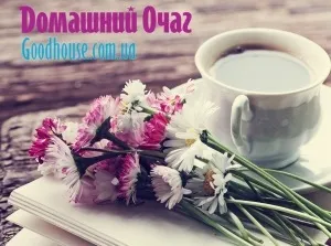 Тенденції літа 2016