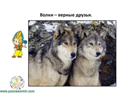 Тематичне заняття семеро козенят, пізнаємо світ (тематичні заняття з українських народних казок) Тематичне заняття семеро козенят, пізнаємо світ