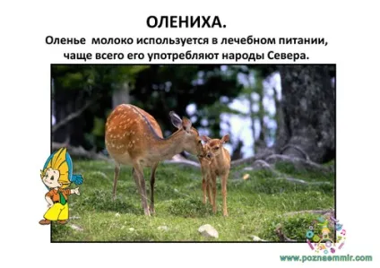 Тематичне заняття семеро козенят, пізнаємо світ (тематичні заняття з українських народних казок) Тематичне заняття семеро козенят, пізнаємо світ