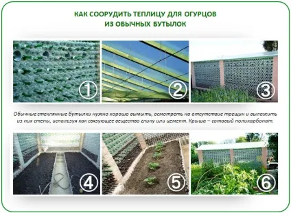 Теплиця для вирощування огірків перевірені часом варіанти (огірків) Теплиця для вирощування огірків перевірені часом варіанти