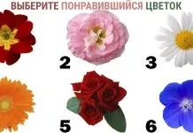 Тест на особисте життя
