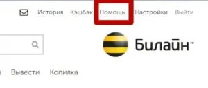Техпідтримка qiwi телефон гарячої лінії (qiwi) Техпідтримка qiwi телефон гарячої лінії