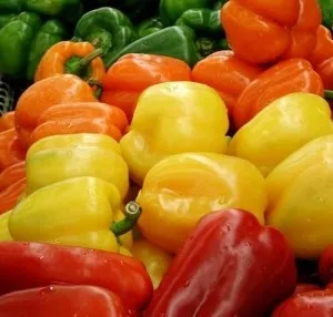 Технологія вирощування перцю на дачі