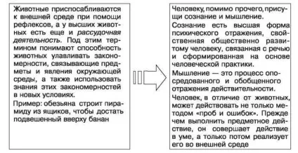 Тя психіки в філогенезі