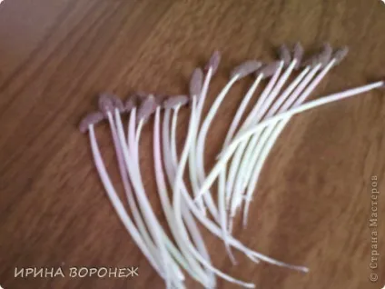 Тичинки для квітів - лілії - і - маку (тичинки) Тичинки для квітів - лілії - і - маку