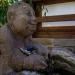 Топ-10 куди точно потрібно з'їздити, відпочиваючи в Геленджику (топ-10) Топ-10 куди точно потрібно з'їздити, відпочиваючи в Геленджику