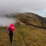 Топ-10 куди точно потрібно з'їздити, відпочиваючи в Геленджику (точно) Топ-10 куди точно потрібно з'їздити, відпочиваючи в Геленджику