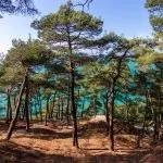 Топ-10 куди точно потрібно з'їздити, відпочиваючи в Геленджику (точно) Топ-10 куди точно потрібно з'їздити, відпочиваючи в Геленджику