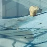 Топ-10 куди точно потрібно з'їздити, відпочиваючи в Геленджику (точно) Топ-10 куди точно потрібно з'їздити, відпочиваючи в Геленджику