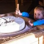 Топ-10 куди точно потрібно з'їздити, відпочиваючи в Геленджику (відпочиваючи) Топ-10 куди точно потрібно з'їздити, відпочиваючи в Геленджику