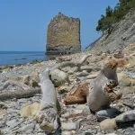 Топ-10 куди точно потрібно з'їздити, відпочиваючи в Геленджику (точно) Топ-10 куди точно потрібно з'їздити, відпочиваючи в Геленджику
