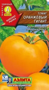 Томат помаранчевий гігант - опис сорту, особливості вирощування, фото і відгуки дачників (помаранчевий) Томат помаранчевий гігант - опис сорту, особливості вирощування, фото і відгуки дачників