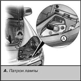 Типи ламп і заміна