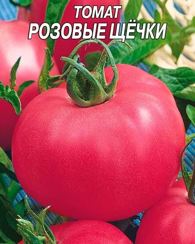 Томати рожеві щічки опис характеристика і як вирощувати