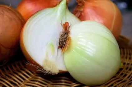 Топ-25 продукти, які шкідливі для вашої кішки (міститься) Топ-25 продукти, які шкідливі для вашої кішки