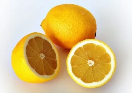 Топ-25 продукти, які шкідливі для вашої кішки (тварин) Топ-25 продукти, які шкідливі для вашої кішки