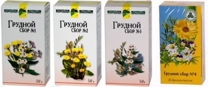 Трави для лікування при бронхіті у дорослих (бронхіті) Трави для лікування при бронхіті у дорослих
