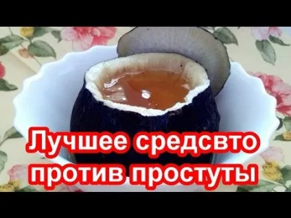 Трави при бронхіті у дорослих які лікарські збори приймати для лікування (дорослих) Трави при бронхіті у дорослих які лікарські збори приймати для лікування