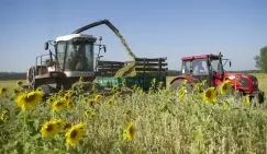 Турецькі помідори заборонили, щоб продавати за нашими цінами - вільна преса - новини сьогодні, 6 (турецькі) Турецькі помідори заборонили, щоб продавати за нашими цінами - вільна преса - новини сьогодні, 6