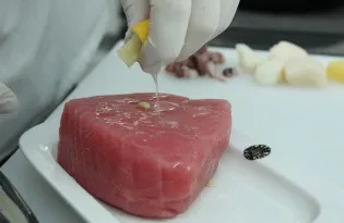 тунець татакі