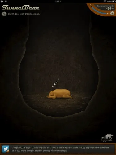 Tunnel bear