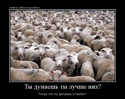 Твіттер, netlore twitter, блоги, мікроблоги, розмови, сервіси, посилання, твіттер
