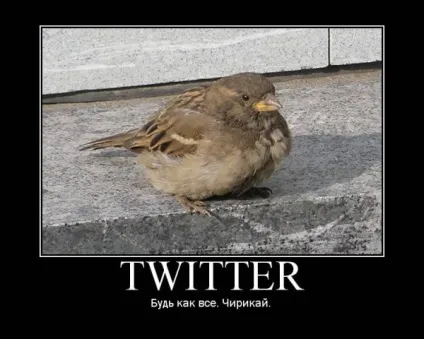 Твіттер, netlore twitter, блоги, мікроблоги, розмови, сервіси, посилання, твіттер