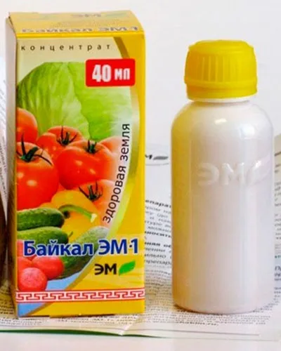 Добриво байкал застосування та відгуки просунутих дачників (застосування) Добриво байкал застосування та відгуки просунутих дачників