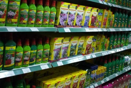 Добрива для кімнатних рослин вибір, застосування (рослин) Добрива для кімнатних рослин вибір, застосування