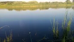 Пестречінскій район, республіка Татарстан, овное місце (місце) Пестречінскій район, республіка Татарстан, овное місце
