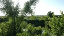 Пестречінскій район, республіка Татарстан, овное місце (головень) Пестречінскій район, республіка Татарстан, овное місце