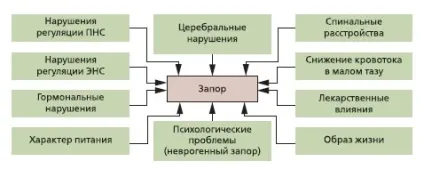 Харчування при запорах у літніх людей, підбір дієти, особливості лікування народними засобами (харчування) Харчування при запорах у літніх людей, підбір дієти, особливості лікування народними засобами