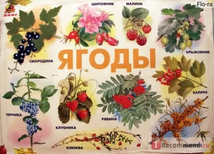 Плакат ооо линг розвиваючі та навчальні плакати серії почитай мені мама - «кращі розвиваючі (плакати) Плакат ооо линг розвиваючі та навчальні плакати серії почитай мені мама - «кращі розвиваючі