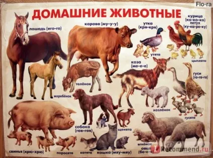 Плакат ооо линг розвиваючі та навчальні плакати серії почитай мені мама - «кращі розвиваючі (розвиваючі) Плакат ооо линг розвиваючі та навчальні плакати серії почитай мені мама - «кращі розвиваючі