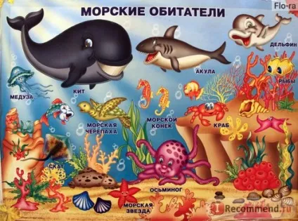 Плакат ооо линг розвиваючі та навчальні плакати серії почитай мені мама - «кращі розвиваючі (кращі) Плакат ооо линг розвиваючі та навчальні плакати серії почитай мені мама - «кращі розвиваючі