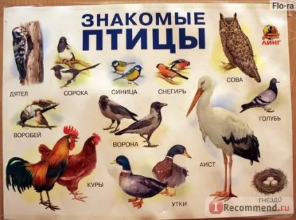 Плакат ооо линг розвиваючі та навчальні плакати серії почитай мені мама - «кращі розвиваючі (мама) Плакат ооо линг розвиваючі та навчальні плакати серії почитай мені мама - «кращі розвиваючі
