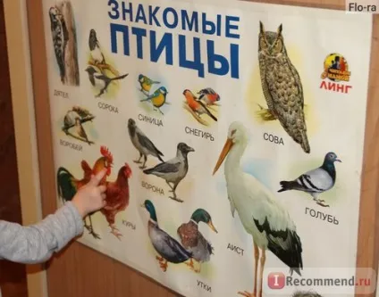 Плакат ооо линг розвиваючі та навчальні плакати серії почитай мені мама - «кращі розвиваючі (линг) Плакат ооо линг розвиваючі та навчальні плакати серії почитай мені мама - «кращі розвиваючі