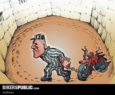 Угон мопеда, дтп і водійські права (права) Угон мопеда, дтп і водійські права