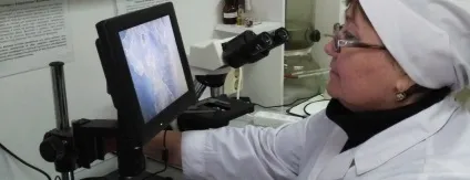 Улан-Уденська міська ветеринарна станція по боротьбі з хворобами тварин, державна (державна) Улан-Уденська міська ветеринарна станція по боротьбі з хворобами тварин, державна