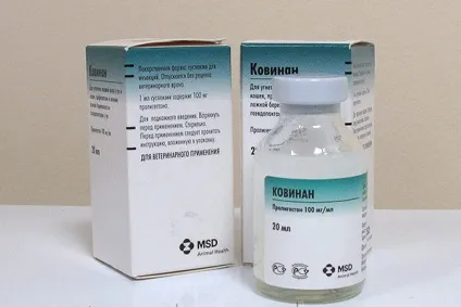 Улан-Уденська міська ветеринарна станція по боротьбі з хворобами тварин, державна (державна) Улан-Уденська міська ветеринарна станція по боротьбі з хворобами тварин, державна