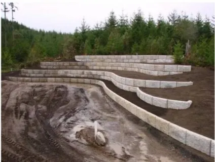 Зміцнення схилів і укосів на дачній ділянці (фото) (ділянці) Зміцнення схилів і укосів на дачній ділянці (фото)