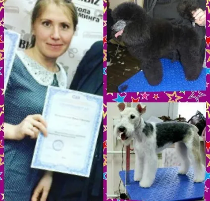Улан-Уденська міська ветеринарна станція по боротьбі з хворобами тварин, державна (державна) Улан-Уденська міська ветеринарна станція по боротьбі з хворобами тварин, державна