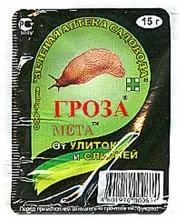 Равлики в городі