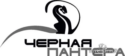 Ультратонкая, суперстійкий, плівка для дизайну нігтів група манікюр, педикюр (виробника Чорна пантера) Ультратонкая, суперстійкий, плівка для дизайну нігтів група манікюр, педикюр